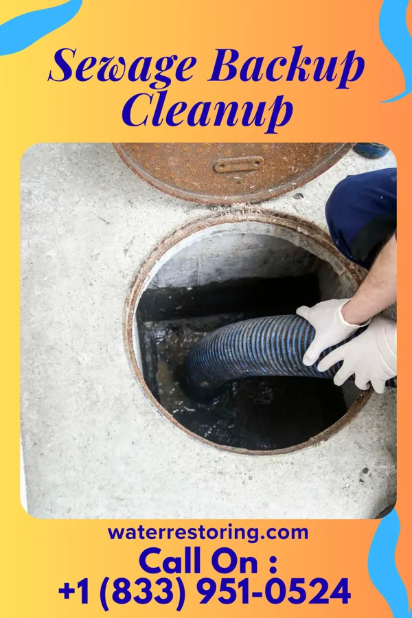 Sewage Backup Cleanup in Celebration, FL