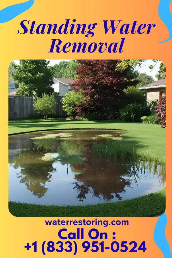 Standing Water Removal in Celebration, FL